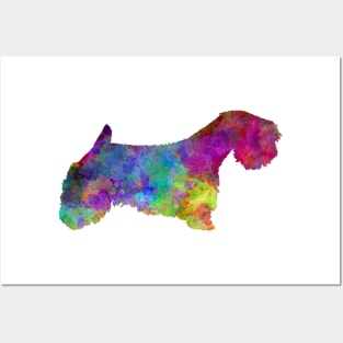 Sealyham Terrier in watercolor Posters and Art